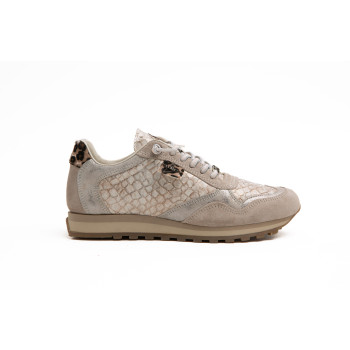 CETTI C848